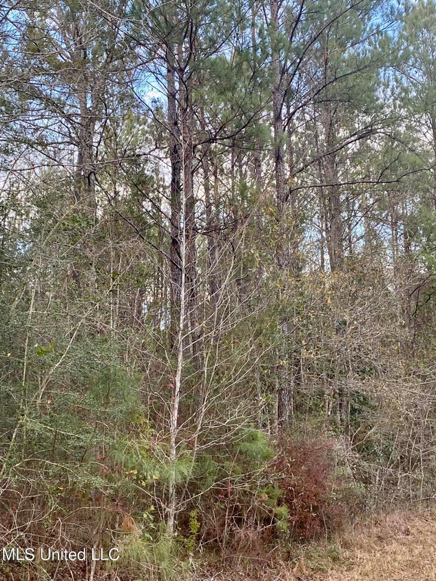 0 J Rd, Picayune, MS 39466 MLS 4067820