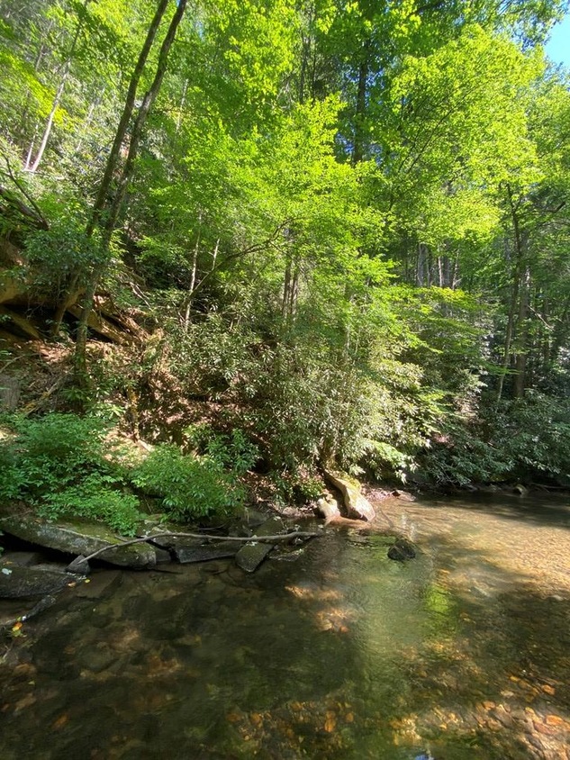 5.39 Ac. Bushy Head Ct, Blue Ridge, Ga 30513 