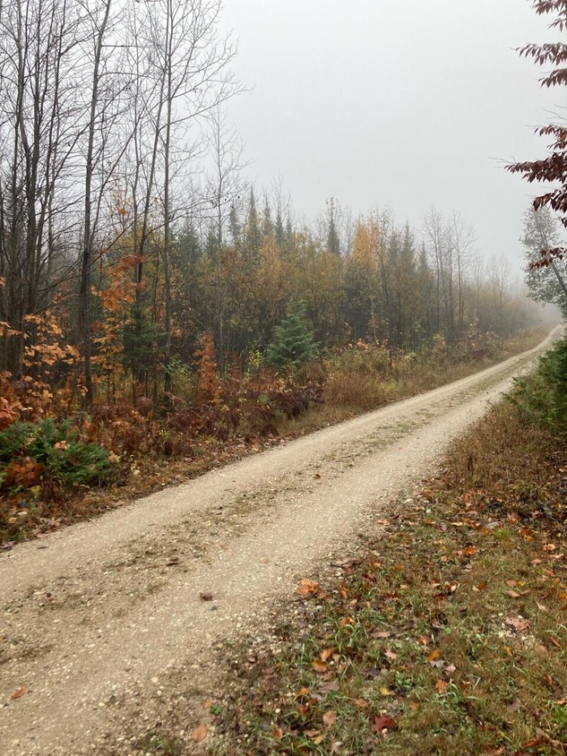 00 Old Rd N, Detour Township, MI 49725 MLS 231021