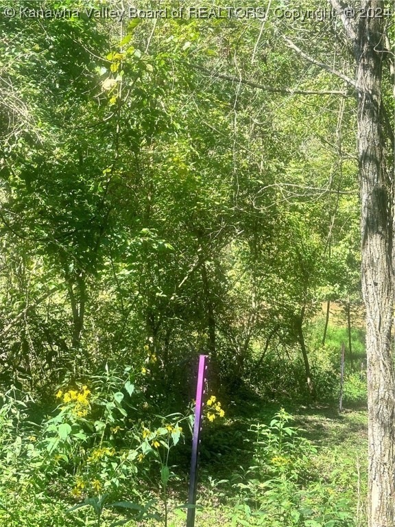 0 Poca River Rd S Unit 270703, Poca, WV 25159 MLS 270703