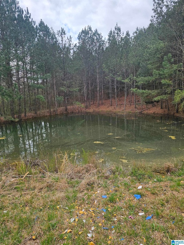 11472 County Road 10, Ranburne, AL 36273 MLS 21380786