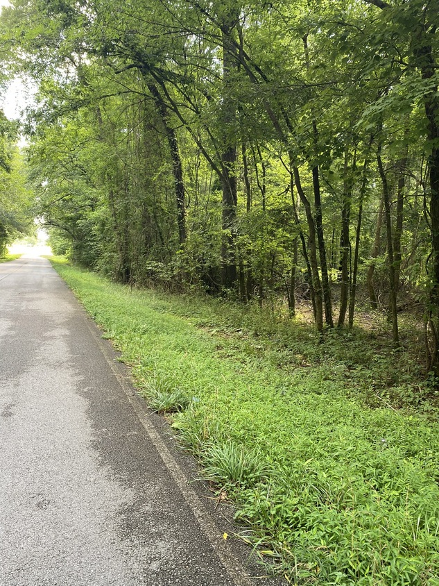 0 Prairie Chapel Rd, Decherd, TN 37324 MLS RTC2545278