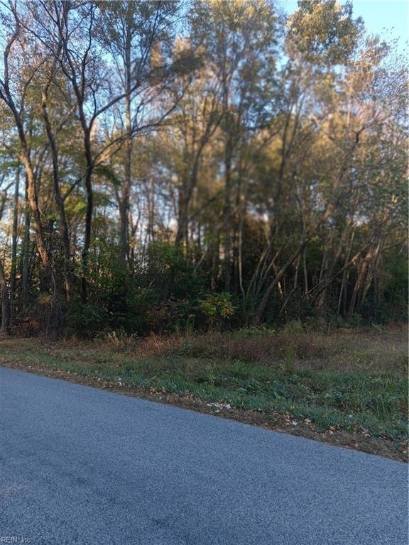 5 AC Blackhead Signpost Rd, Courtland, VA 23837 MLS 10509089