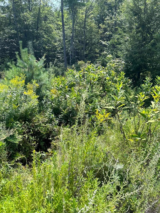 3 Aloma Rd, Wakefield, NH 03830 MLS 4943433