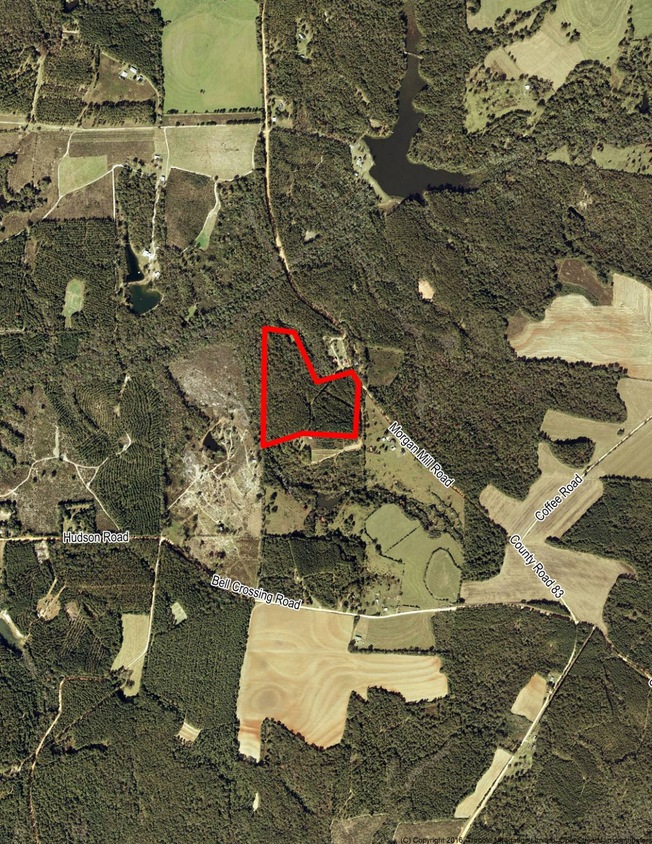 0 Mill Rd, Brantley, AL 36009 MLS 11353649