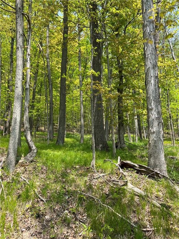 0 State Route 226 Unit R1516781, Tyrone, NY 14837 | MLS# R1516781