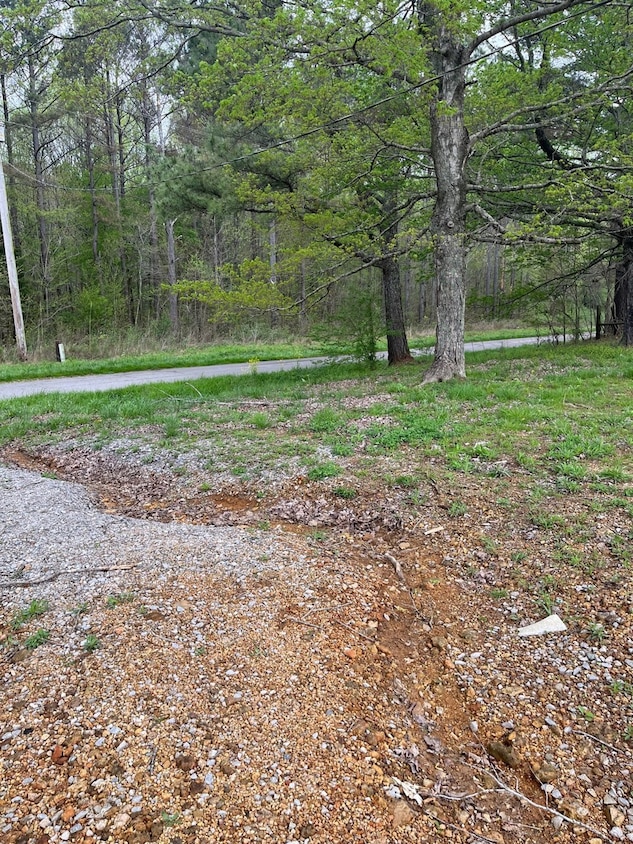 255 Second Creek Rd, Five Points, TN 38457 MLS RTC2511257