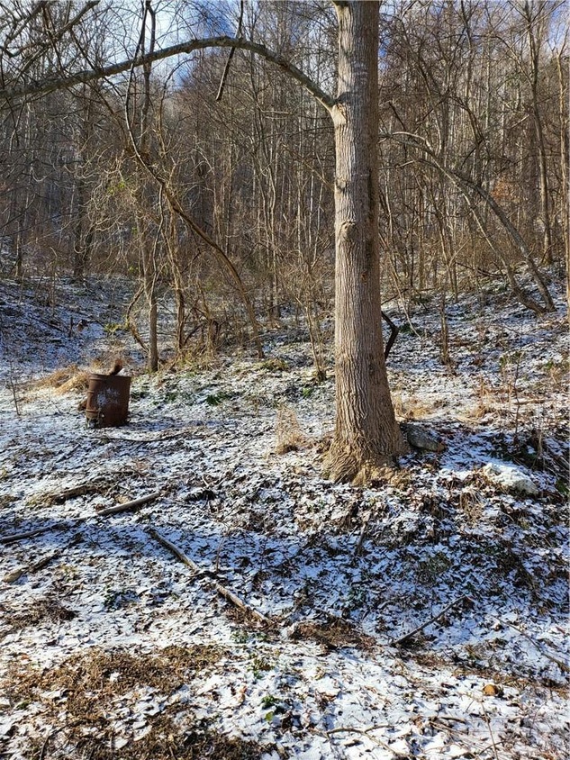 1139 Fisher Branch Rd, Marshall, NC 28753 MLS CAR4091681