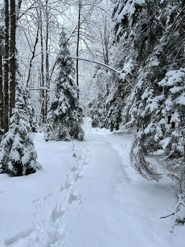 Map 232 Lot 1 Locke Ln, Lempster, NH 03605 MLS 4984795