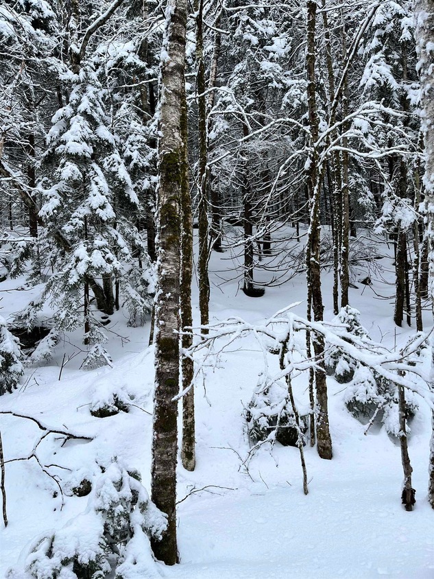 Map 232 Lot 1 Locke Ln, Lempster, NH 03605 MLS 4984795