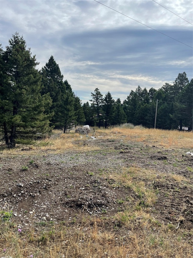 nhn Nhn, Raynesford, MT 59469 MLS 30013326