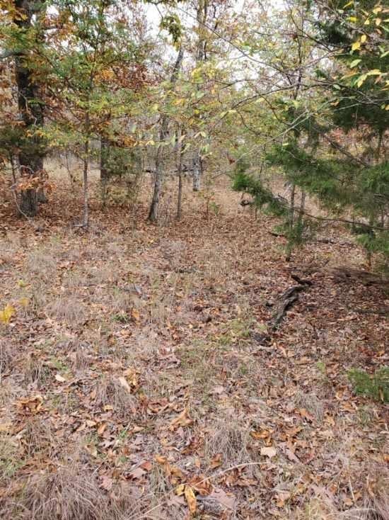 0 Lot 4 Mountain View Unit 1091424, Vian, OK 74962 MLS 1091424