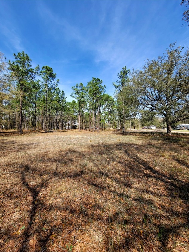 101 Crossland Ln, Hoboken, GA 31542 MLS 34597