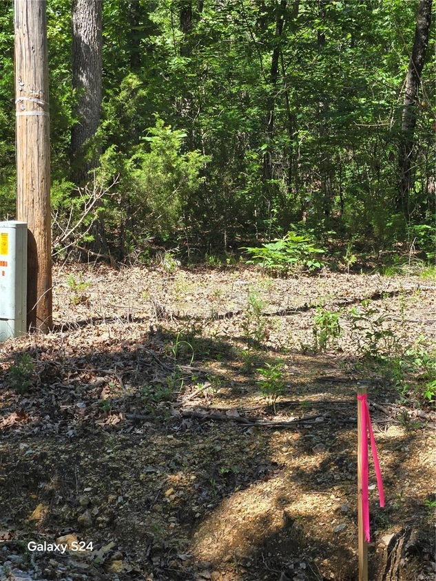 0 Track 2 Dusty Rd, Cadet, MO 63630 MLS MAR24036442