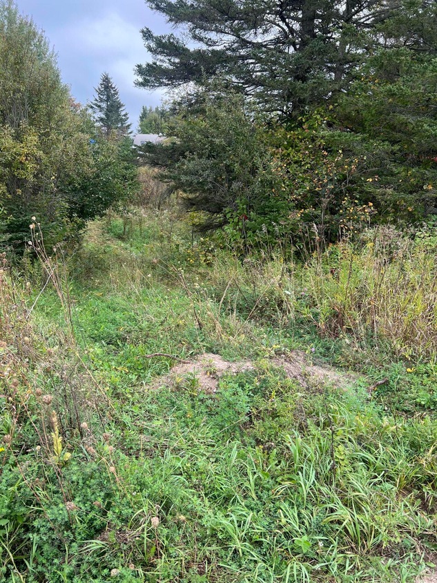 0 Tbd Unit 24924, Rudyard, MI 49780 MLS 24924