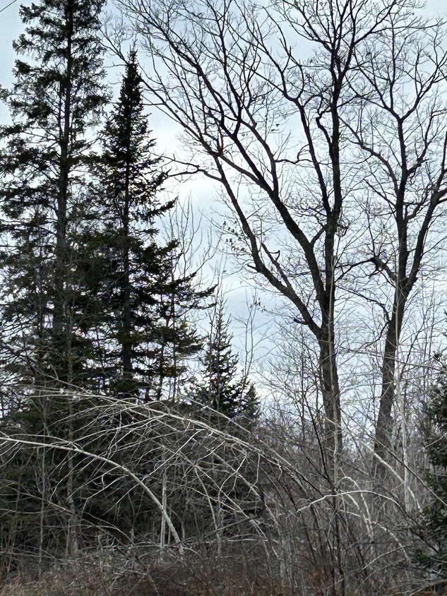 000 State Highway 23, Holyoke, MN 55749 MLS NST6488060