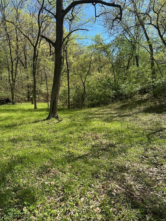 3520 Frussel Dr, Antonia, MO 63052 MLS MAR24023294