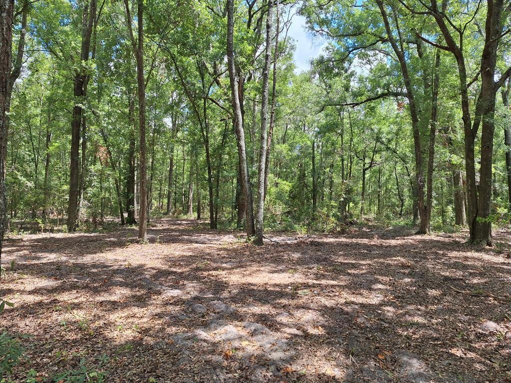 Lot 000 208th Place, O'Brien, FL 32071 | MLS# 790081 | Homes.com