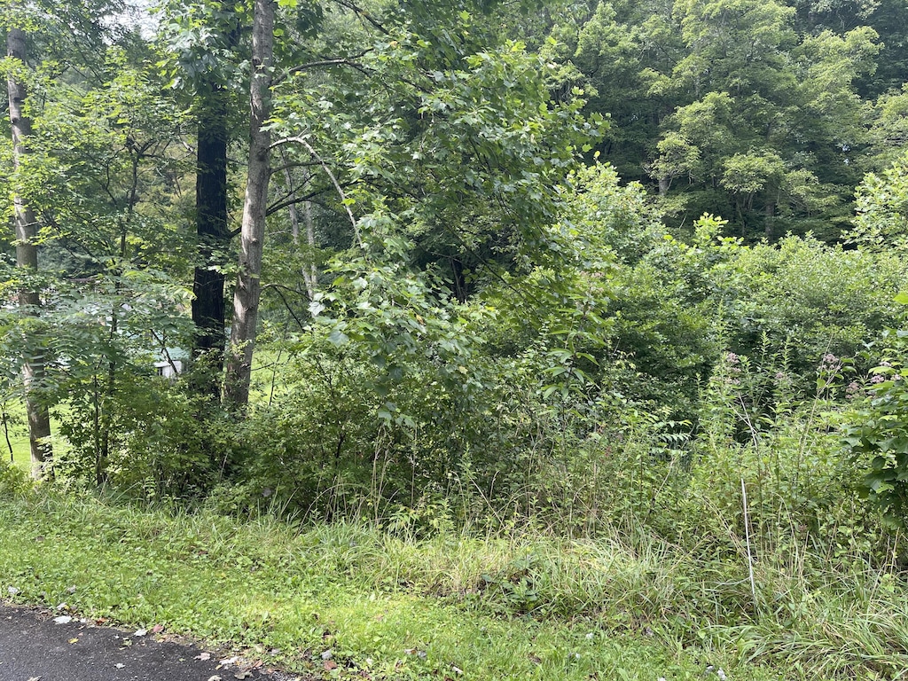 124 valley ave lester wv 25865 mls 22 1162 homes