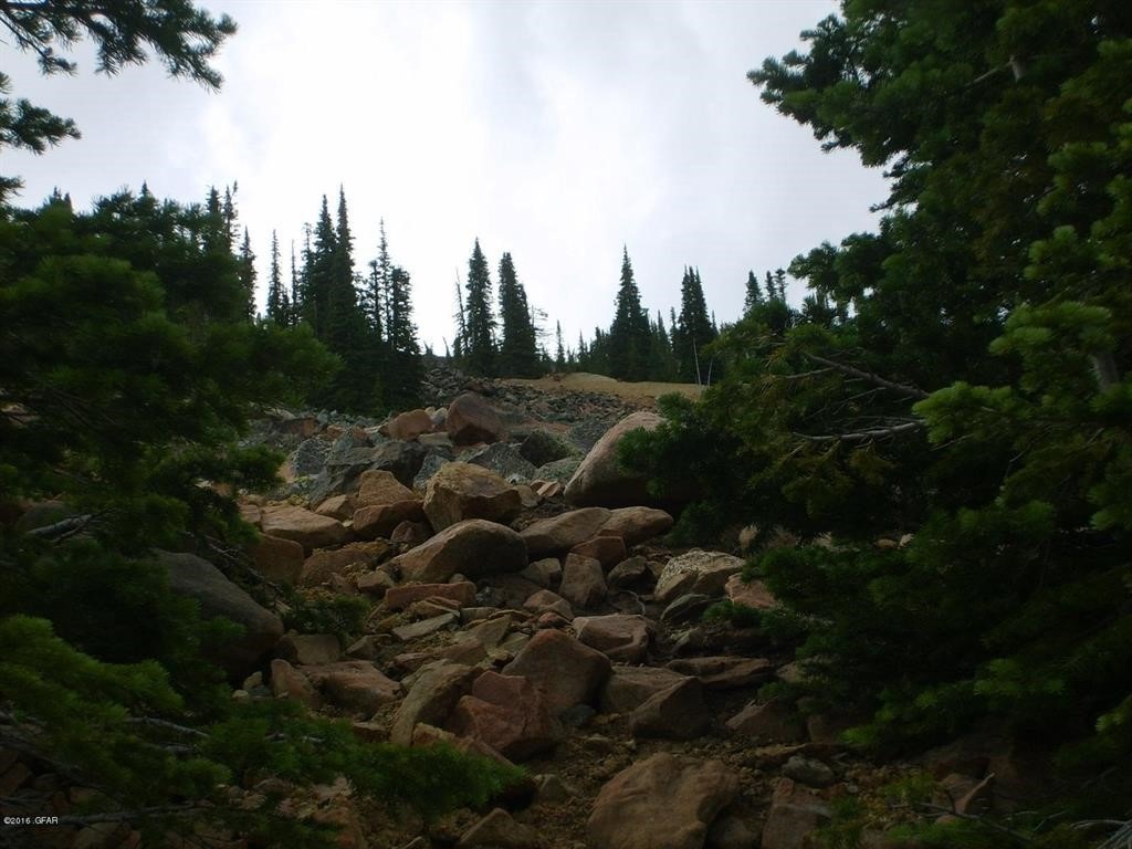 ME Spotted Horse Me, Neihart, MT 59465 MLS 30018538