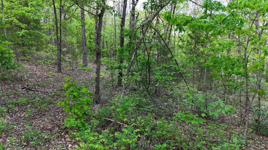 00000 Missouri 38, Hartville, MO 65667 MLS 60272297