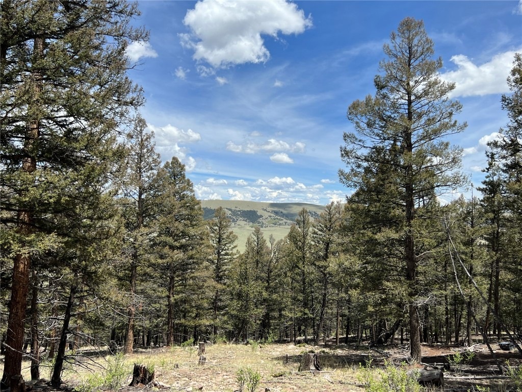 TBD Middle Fork Vista, Fairplay, CO 80440 MLS S1041419