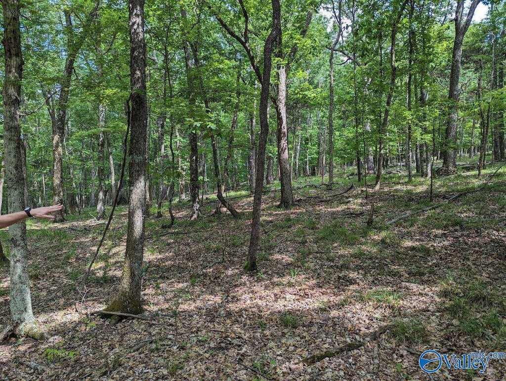 40 Acres Berry Rd, Brownsboro, AL 35741 | Homes.com