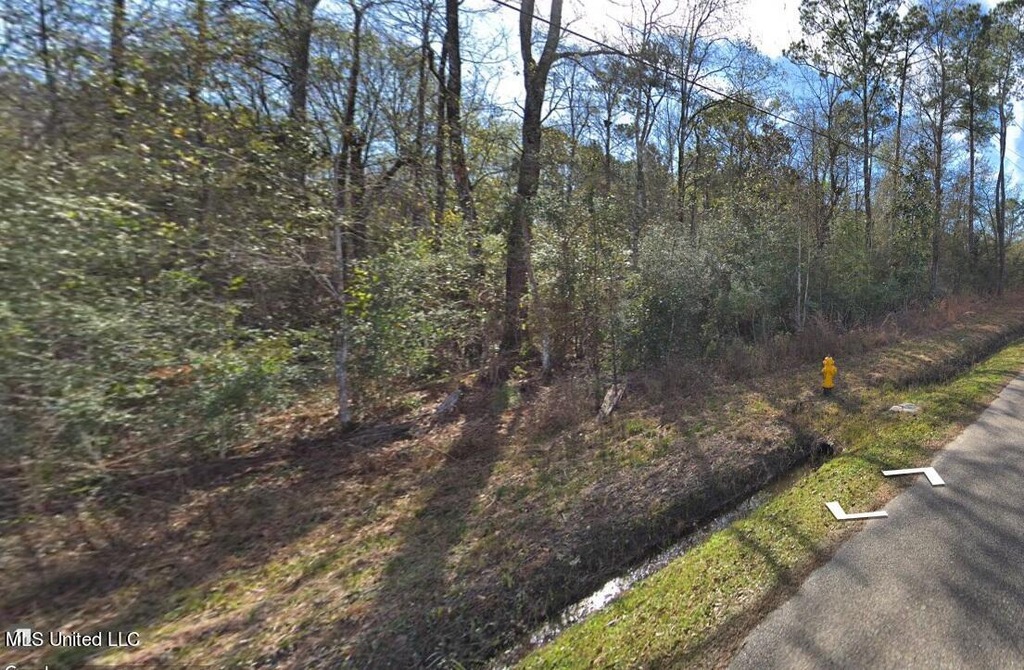 Lot 16 Cedar Dr, Pearlington, MS 39572 MLS 4043415