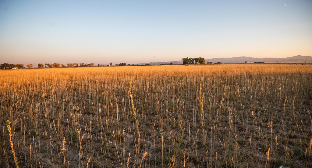 TBD Dr Unit 2, Powell, WY 82435 MLS 10030634