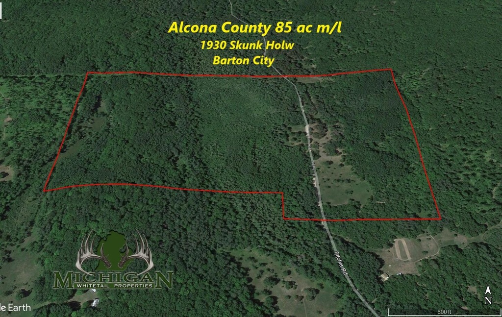 1930 Skunk Hollow, Barton City, MI 48705 MLS 24022436