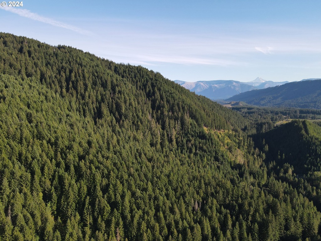 0 Cedar Creek Rd, Carson, WA 98610 MLS 24364234