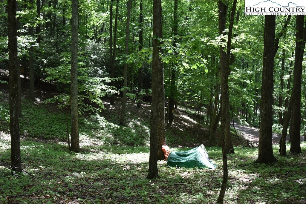 OFF Andrews Rd, Sparta, NC 28644 MLS 248642