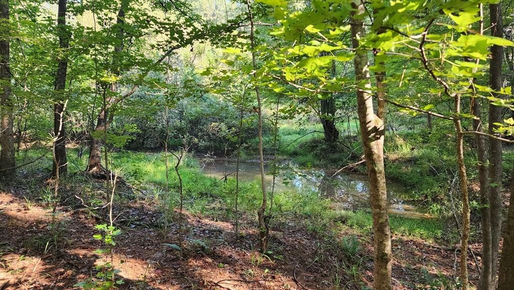Lot size 137.36 Lower Blue Springs Rd, Hamilton, GA 31811 MLS 211457