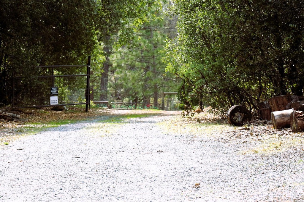 1402 Meredith Ln, Rail Road Flat, CA 95245 MLS 224023464