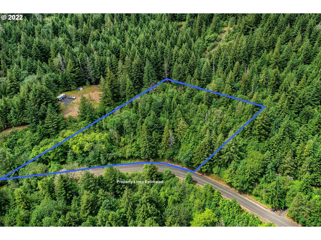 0 Archer Mountain Rd Unit 24284272, Skamania, WA 98648 MLS 24284272