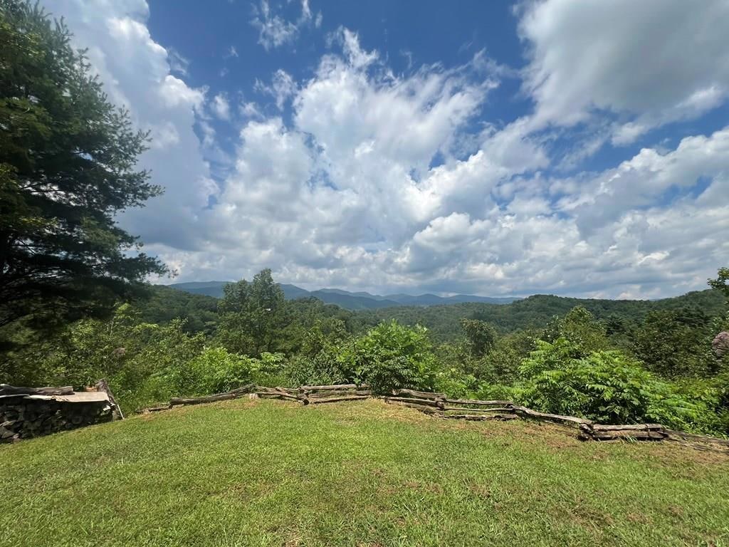 35 Yellowbird Ln, Marble, NC 28905 MLS 151232