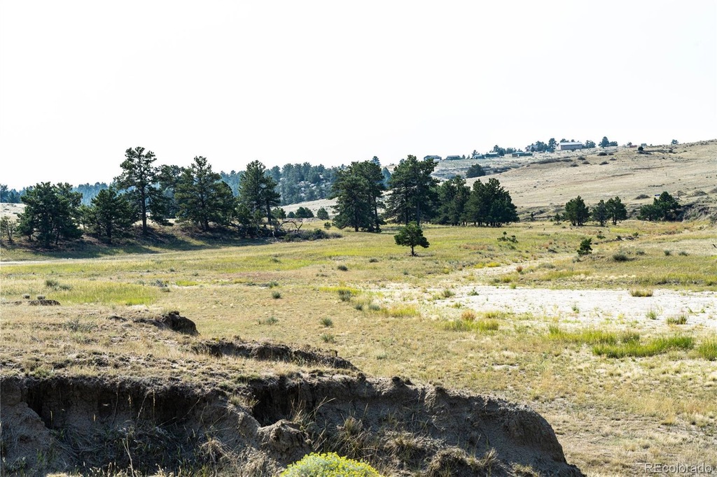 39307 Way of Grace Trl