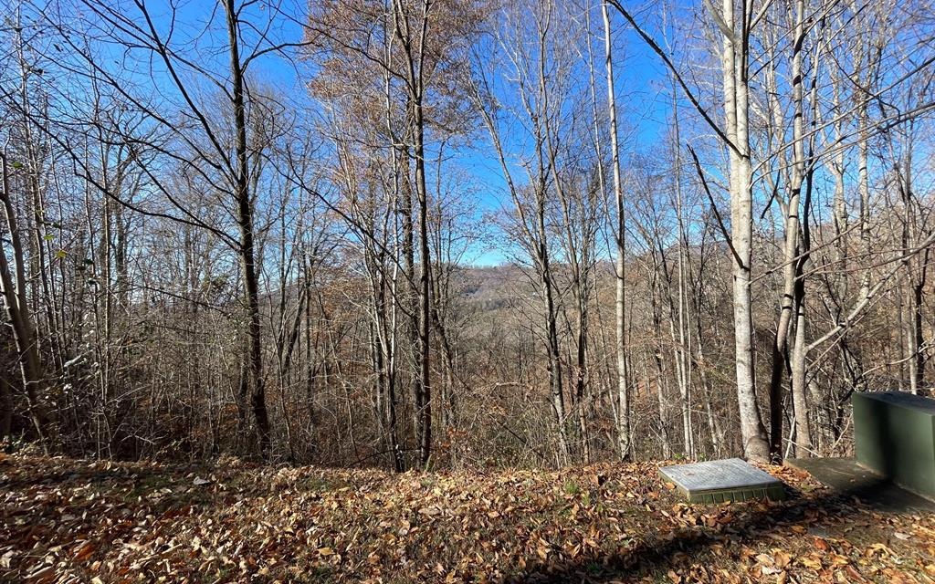 LOT 36M Mountain Harbour Dr, Hayesville, NC 28904 MLS 139690