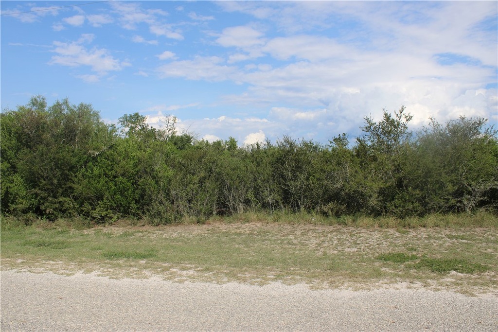 00 County Road 3031, Orange Grove, TX 78372 MLS 448201