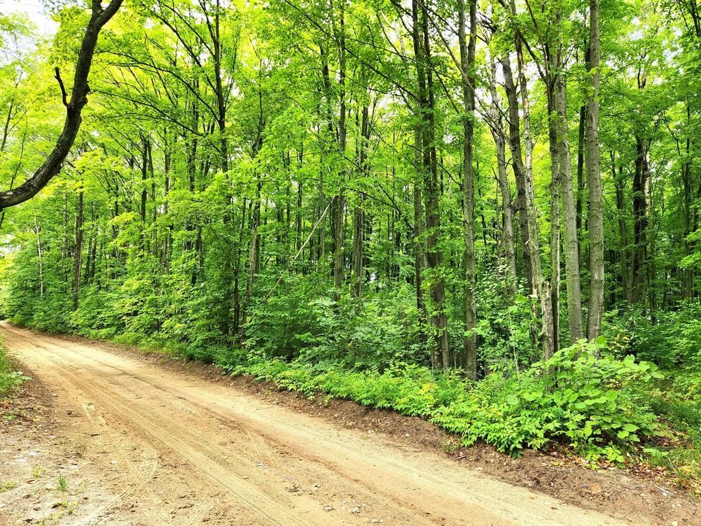 3427 Tower Rd Unit 10 Acres, Pellston, MI 49769 MLS 201827952