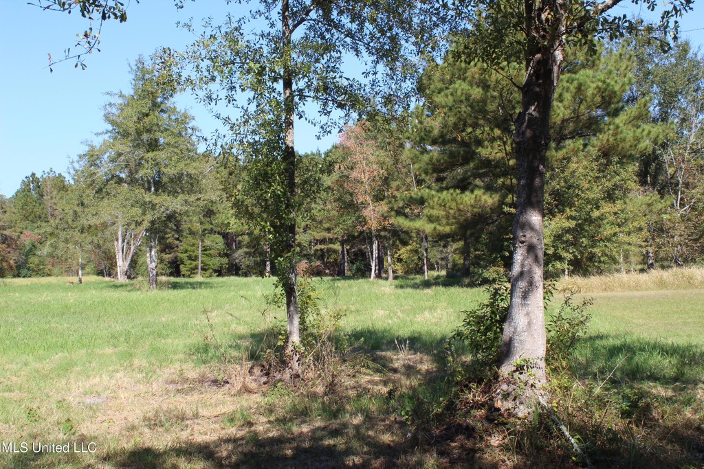 1.28 Acres Tanner Williams Rd, Lucedale, MS 39452 MLS 4095144