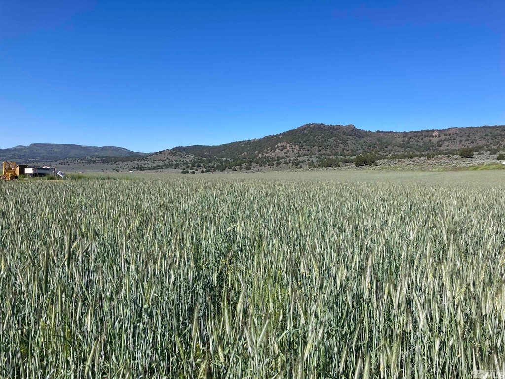 11069 Mosquito Rd, Gerlach, NV 89412 MLS 230008956