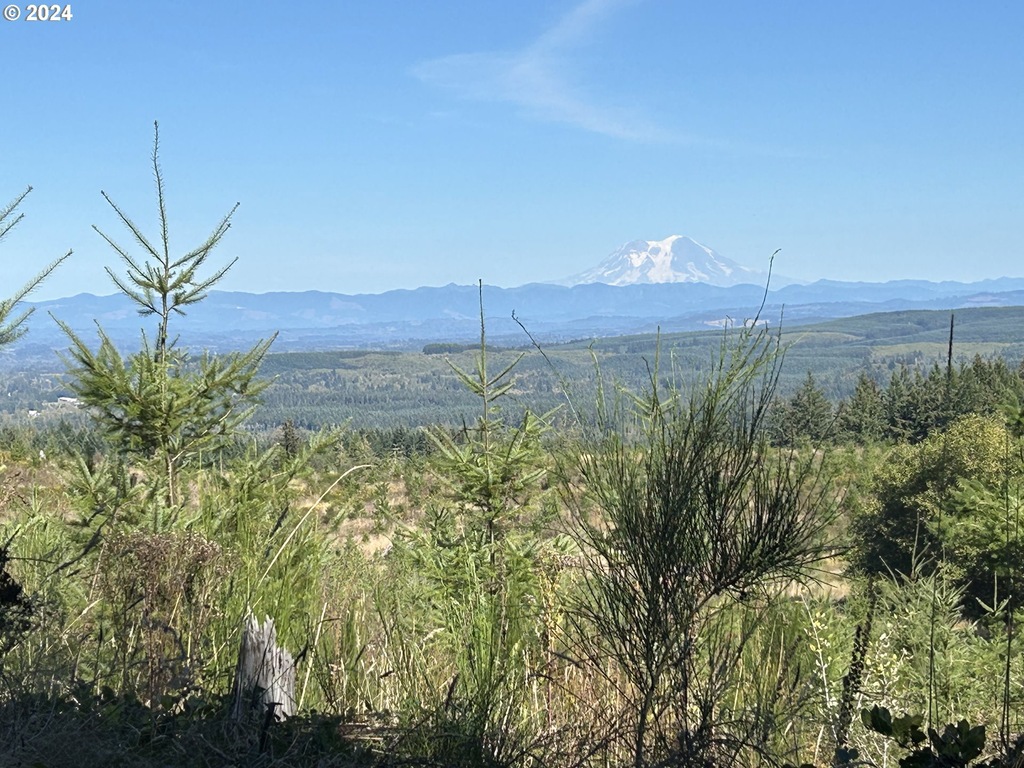 0 Casey Rd Unit 1 24133101, Castle Rock, WA 98611 MLS 24133101