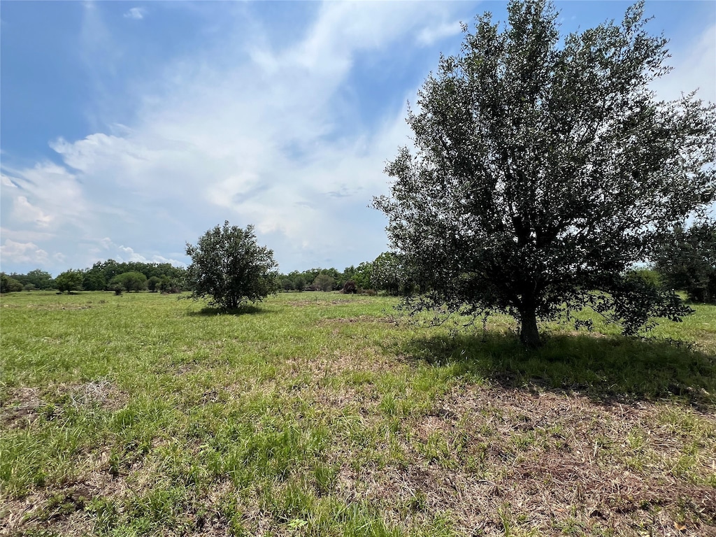 5 County Road 25, Damon, TX 77430 | Homes.com