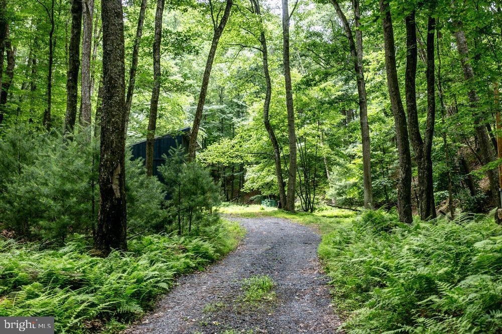 Lot a12 Haviture, Mathias, WV 26812 MLS WVHD2002192
