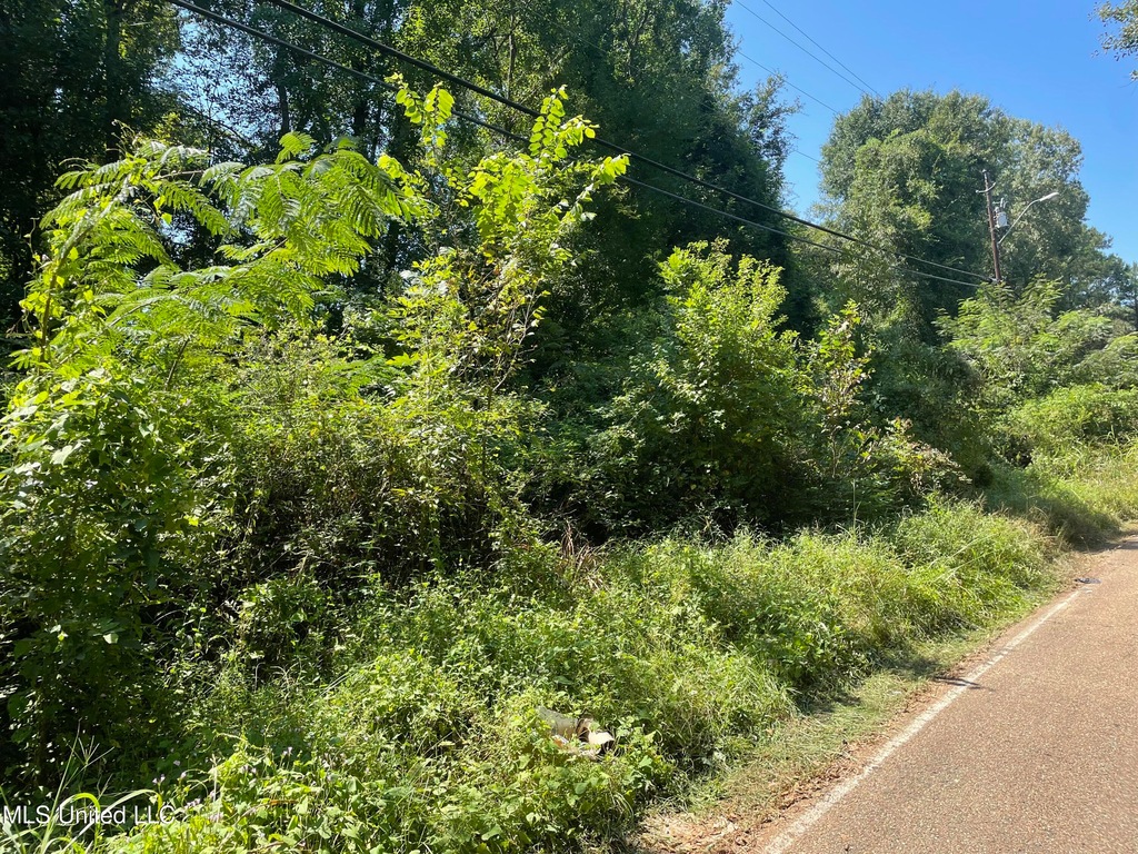 0 S McRaven Rd Unit 4077692, Jackson, MS 39209 MLS 4077692