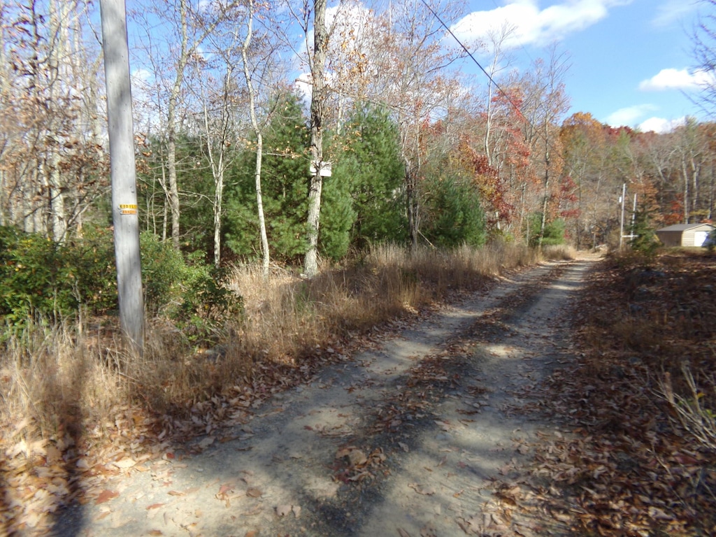 Lot #3 Turkey Track, Waiteville, WV 24984 | MLS# 24-321 | Homes.com