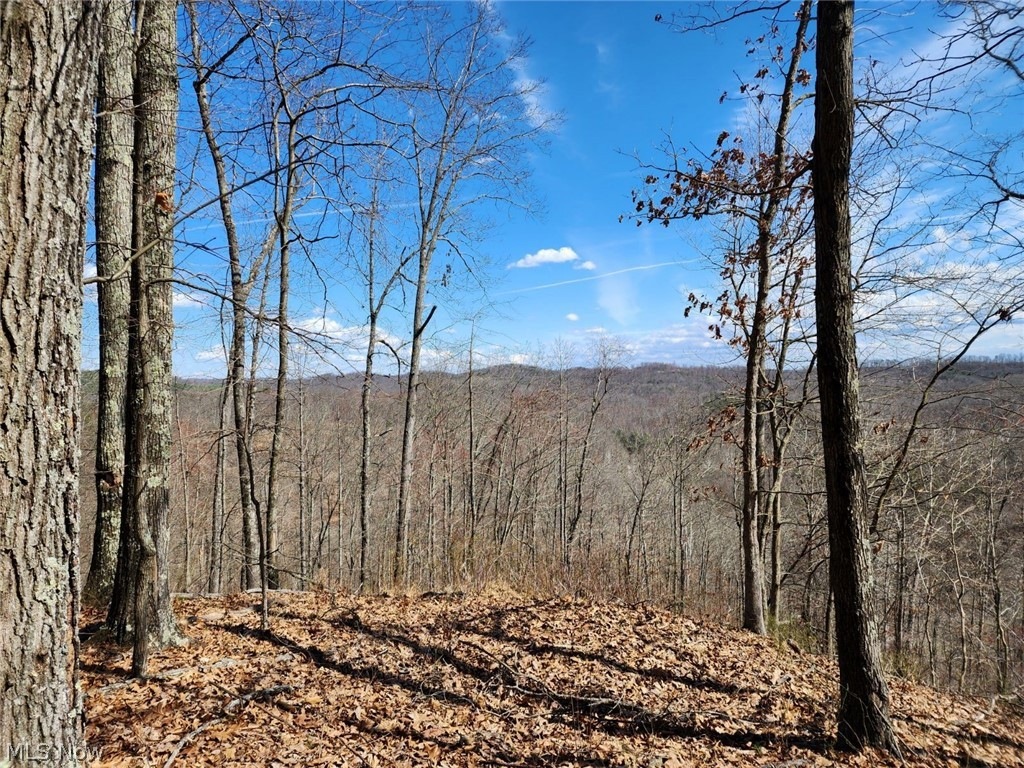 0 Progress Ridge Rd Unit 5023727, Walker, WV 26180 | MLS# 5023727 ...