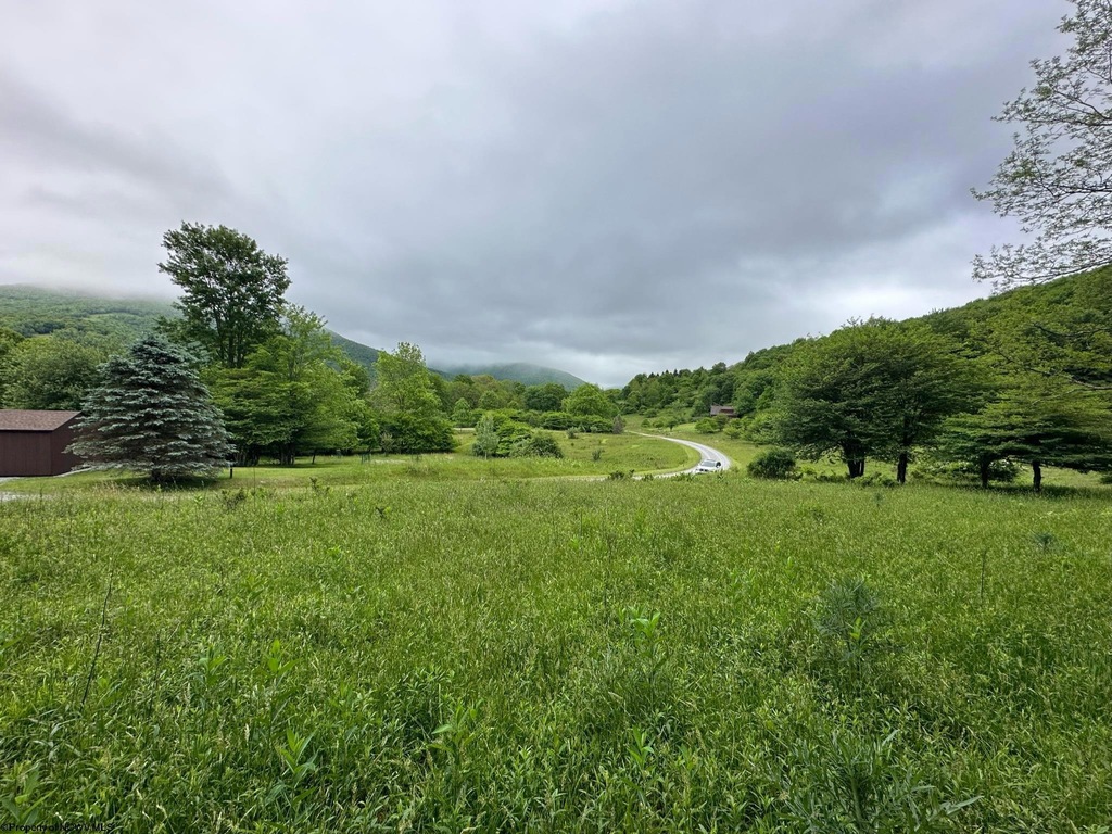 Lot 21 Hickory Flats Rd, Dryfork, WV 26263 MLS 10152700