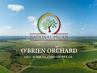 207 Darsey Rd, Naylor, GA 31641